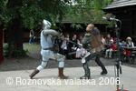 Mezinárodní armádní festival Rožnovská Valaška