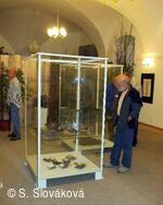 Z DĚNÍ VE MĚSTĚ