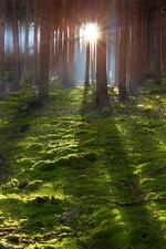 Městská knihovna Frenštát p. R.